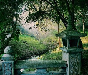 bán gấp biệt thự vạn phúc hà đông dt165m2,mt10m,đường 12m,nhà 3,5 tầng,giá siêu rẻ