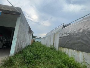 bán đất tại đường số 109, phước long b, quận 9, tp.hcm, giá cực chất 1,236 tỷ, 62,2m2