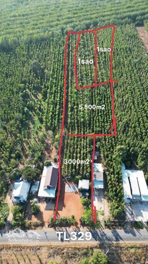 [chính chủ] bán đất 10.500m² giá 15 tỷ, tỉnh lộ 329 hòa hội, xuyên mộc, bà rịa vũng tàu