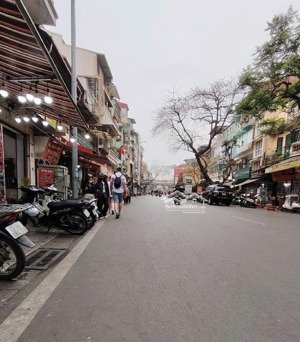mặt phố hàng giấy 160m2 6t, thửa vuông vị trí đẹp