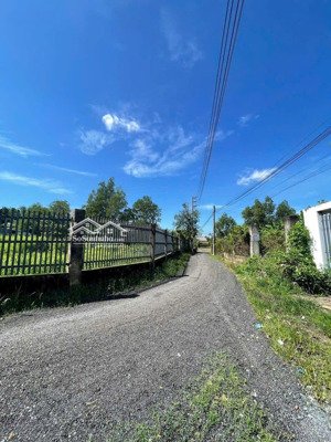 bán trang trại, khu nghỉ dưỡng đẹp tại đ.hùng vương, nhơn trạch, đồng nai 3,3 tỷ, 800m2