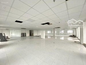 cho thuê nhà mặt phố phạm ngọc thạch, đống đa, dt 500m2, mt 25m, đoạn kd đẹp, thông sàn , vỉa rộng.