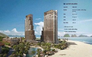 căn hộ hạ long view biển giá dk từ 2 tỷ - dòng tiền 300tr/ năm tại hùng thắng hạ long sổ hồng