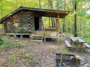 chính chủ bán đất rừng thông view biển cực chill, giá thấp bên cạnh dự án haivan bay vin làng vân