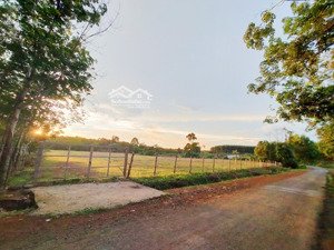 bán đất 20,000m2 tại đoàn kết, bù đăng, bình phước, giá siêu hời 7,5 tỷ