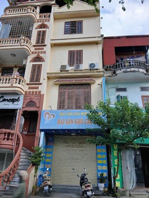 cho thuê nhà mặt phố 20 trịnh đình cửu, phương liệt, thanh xuân hà nội.