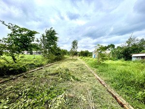 bđs xây nhà trọ cho thuê hot ngay cửa ngõ kcn tân hiệp