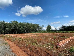 1000m2 xây trọ ngay, ngang 30m bám đường, đầy đủ ngay kcn đồng nai 250 tr còn tl bao sang tên