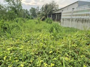 bán đất đường nhưa 19.2x64 (1245m2) ,xã Tân phú, Huyện Đức Hòa, Long An.0974480757