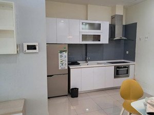 cho thuê căn hộ 1pn full nội thất tại the prince residence nguyễn văn trỗi - phú nhuận.