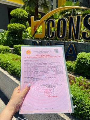 căn hộ bcons plaza 2pn 2wc bao ra sổ alo thuận còn view đẹp