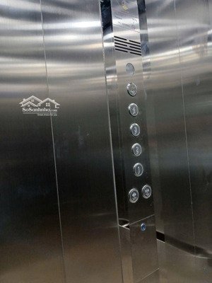 lại là siêu phẩm hoàng cầu . 5 bước ra hồ