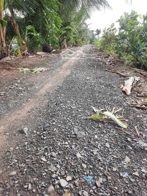 bán gấp đất tại trương văn đa, 20 tỷ, 8816m2, pháp lý đầy đủ