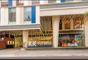 cho thuê căn hộ view biển tòa nhà tui blue (ariyana) 18 trần hưng đạo