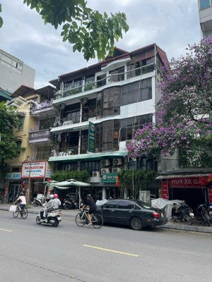 cho thuê nhà phố cầu gỗ, 50m x 5 tầng, mt 3m, vị trí vàng trung tâm phố cổ kinh doanh đỉnh cao