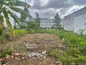 cần bán gấp đất mtđ số 8,thị trấn phong điền,cần thơ,gần chợ phong điền,650tr/120m2 shr