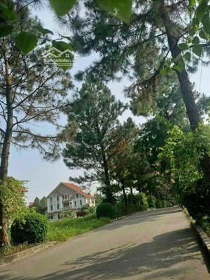 bán nhanh căn biệt thự 200m2 vị trí đẹp giá chỉ 21 tỷ ngay khu sinh thái cao cấp đan phượng