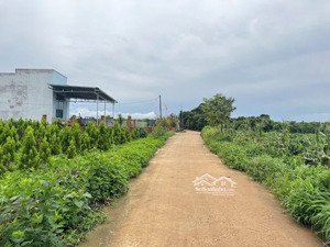 bán 3,3 sào cafe thổ cư 100m sẵn giá 500/sào