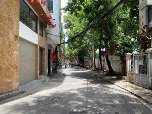 nhà phố cự lộc, lô góc - ngõ ôtô thông kinh doanh - vf3 phóng - vài bước ra phố - sầm uất - 5 tầng