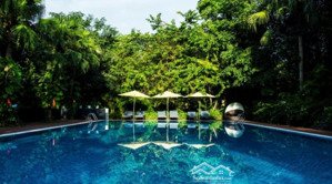 cần bán biệt thự đơn lập vườn tùng ecopark, 324m2 giá nhỉnh 50 tỷ. liên hệ: 