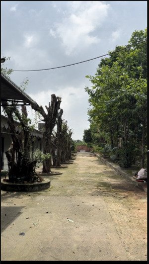 nhà nghỉ 379 tọa lạc tại đt 762, xã thanh bình, trảng bom, đồng nai là một lựa chọn lý tưởng cho nh