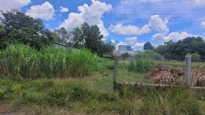 bán đất tại thạnh đức, gò dầu, tây ninh, 2,4 tỷ, 813,3 m2