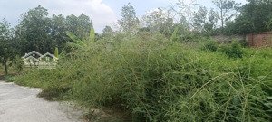 bán đất đẹp tại bắc sơn, sóc sơn, hà nội, 12,5 tỷ, 2500m2