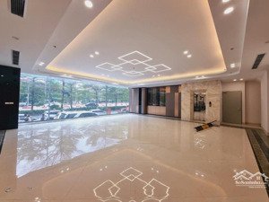 siêu phẩm đống đa tòa nhà 12 tầng mt 22m diện tích 242m kinh doanh nhà hàng khách sạn