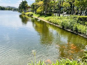 hót - 1 căn duy nhất căn góc sân vườn lakeview city dt 7x20m full nội thất bán nhanh giá 21,2 tỷ