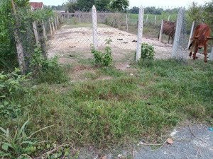 bán đất 165m2 tại đường 183, củ chi, hồ chí minh, giá thỏa thuận, nhiều tiện ích đẹp