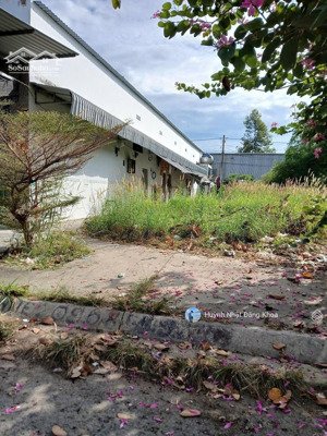 chính chủ bán đất mt huỳnh thúc kháng , phường 7 , thành phố cà mau giá chỉ có 490tr/120m2 shr