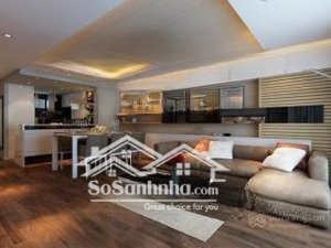 cho thuê căn hộ chung cư xigrand court lý thường kiệt, dt 138m2, 3pn, 2wc, giá 30 triệu/tháng