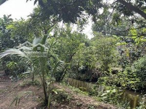 bán đất mặt tiền 3m, 660m2 tại thới sơn, mỹ tho, tiền giang, 1,25 tỷ