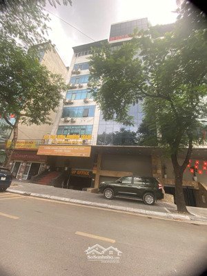 cho thuê nhà trần thái tông , dt 126m, 9 tầng, mt 7.2m, thông sàn, thang máy, 240tr/tháng