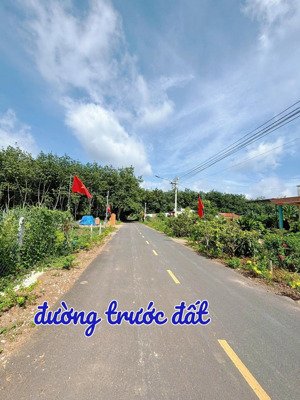 bán đất thổ cư 298m2 giá đúng 150tr đối diện trường cấp 2 an linh tiện ích đầy đủ cách kcn chỉ 2km