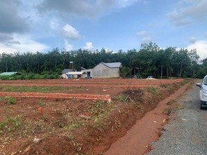 con chủ đất đang bệnh cần tiền gấp diện tích 200m2 giá 350tr