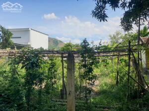  sở hữu đất đẹp, rộng rãi, yên tĩnh tại Vĩnh Trung – Tây Nha Trang