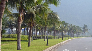 vip biển! bán đất 4 lô liền kề 440m2 - 169,99 tỷ - mt hoàng sa - q. sơn trà