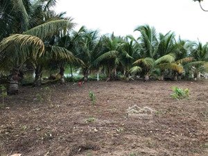 cần bán 7800m tờ 28 xã phú đông,nhơn trạch cấn mặt tiền phú mỹ 2 giá 1,4tr/m2 lh 