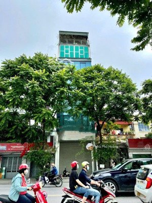 chuyển nhượng mặt tiền nguyễn đình chiểu, quận 1 - 5x20m - hầm + 7 tầng - hđt 140tr/th - giá 35 tỷ