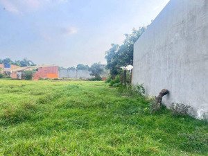 chính chủ bán gấp 6x17m bình tả đức hoà hạ, shr. giá 590tr