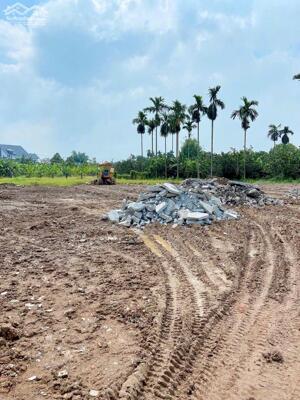 ĐẤT NỀN - NHÀ PHỐ SỔ RIÊNG NGAY TRUNG TÂM PHƯỜNG TÂN TRIỀU