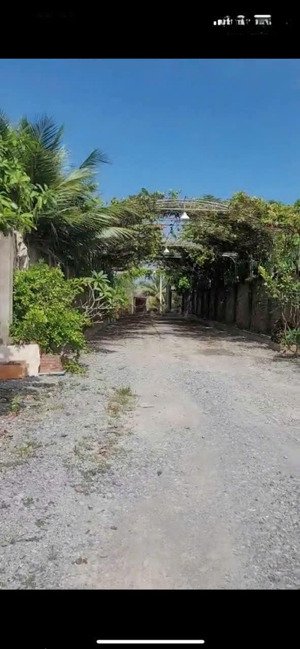 nhà vườn mt qlo62 km 34 thủy tây, huyện thạnh hóa, long an
