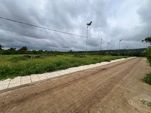 bán đất tại tân văn, lâm hà, lâm đồng, 430 triệu, 200 m2 giá tốt