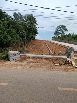 chính chủ bán lô đất 100m2, nằm ngay trục đường liên xã cổ đông, giá chỉ 3,xty