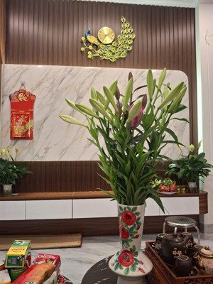 hoa hậu lô góc lk văn phú - hà đông * diện tích 67m2 * 5tầng * giá 17.5tỷ - cạnh siêu thị metro hđ