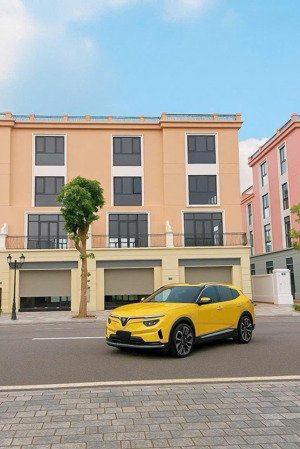 cần bán gấp shophouse phân đảo mua dự án vinhomes royal island-thủy nguyên hải phòng
