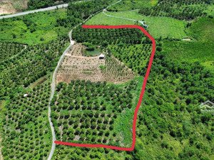 đất vườn diên thọ cách ql 27c 200m diện tích 21000m2 bám đường 200m chỉ 360k/m2