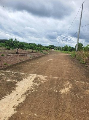 vườn mít xã tân thành, nay là phường đồng xoài - đồng nai nằm cách vòng xoay tỉnh 4km - 490tr