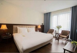 143 tỷ - khách sạn 3* - mp nguyễn du 194m x 11 tầng x 29 phòng sang trọng.
